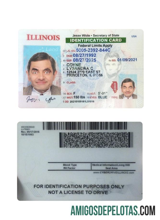 Modelo de cartão de identificação dos EUA Illinois